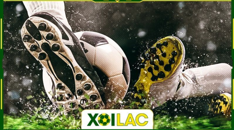 Xem trước lịch thi đấu trực tiếp bóng đá Euro 2024 Xoi Lac TV Xem trước lịch thi đấu trực tiếp bóng đá Euro 2024 Xoi Lac TV