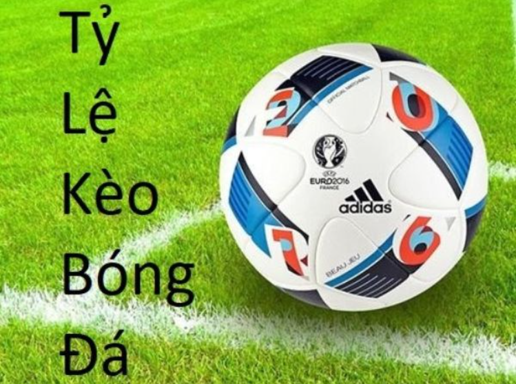 Tỷ lệ kèo bóng đá tại nhà cái là gì? Tỷ lệ kèo bóng đá tại nhà cái là gì?