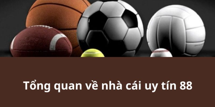 Tổng quan về nhà cái uy tín 88 Tổng quan về nhà cái uy tín 88