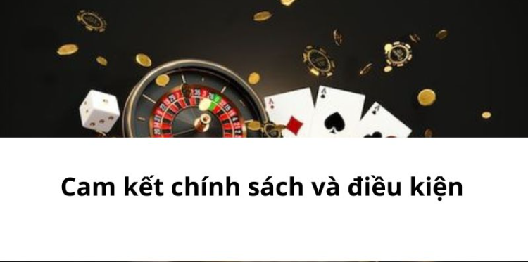 Cam kết chính sách và điều kiện Cam kết chính sách và điều kiện