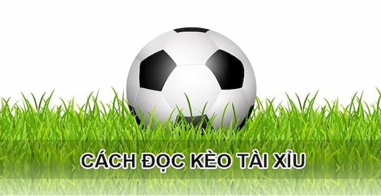 Cách đọc kèo tài xỉu bàn thắng tại go99 vô cùng đơn giản Cách đọc kèo tài xỉu bàn thắng tại go99 vô cùng đơn giản