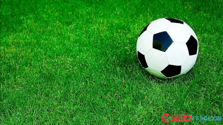 Lý do nên chọn colatyso Lý do nên chọn colatyso