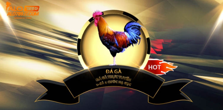 Đa dạng các loại hình đá gà hấp dẫn Đa dạng các loại hình đá gà hấp dẫn