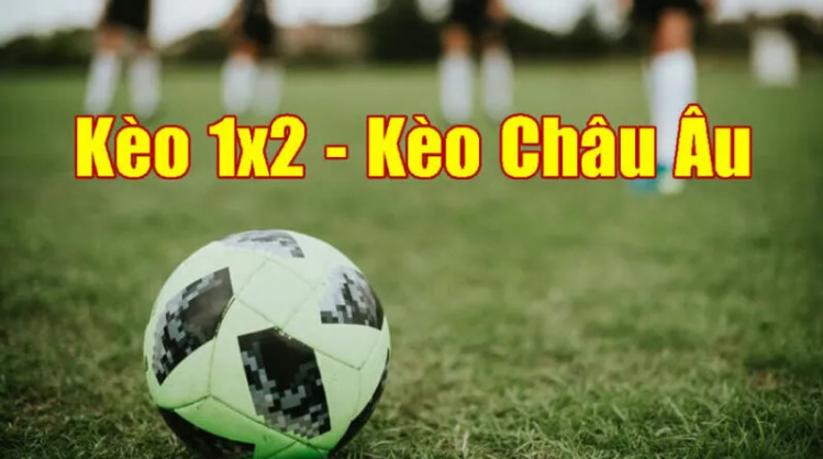 Hướng dẫn cách xem và tính tỷ lệ kèo bóng đá châu Âu Hướng dẫn cách xem và tính tỷ lệ kèo bóng đá châu Âu